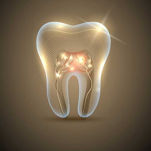 Root Canal Therapy | Ultima Dental Wellness | SW Calgary Dentist in Kingsland